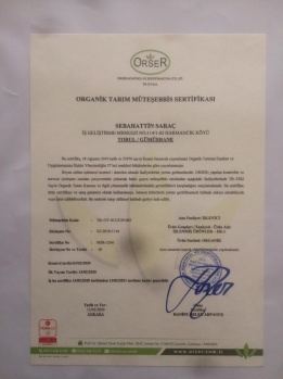 Saraç'tan Organik Pestil Girişimi