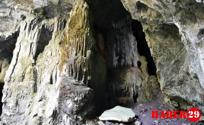 Arılı Mağarası Tabiat Varlığı Olarak Tescil Edildi