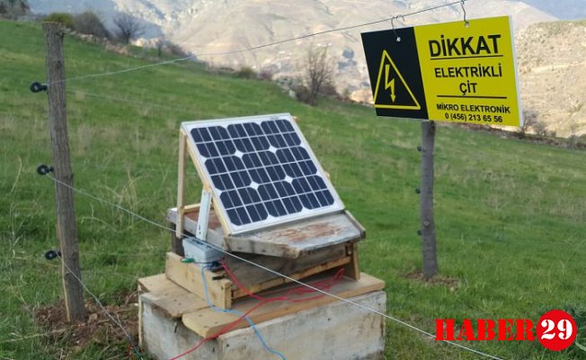 Balsever Ayıları MİKROÇİT Durduracak