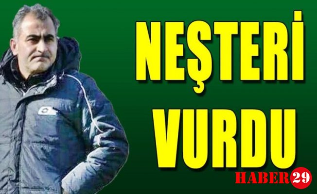 Yaz Tahtaya Bir Daha