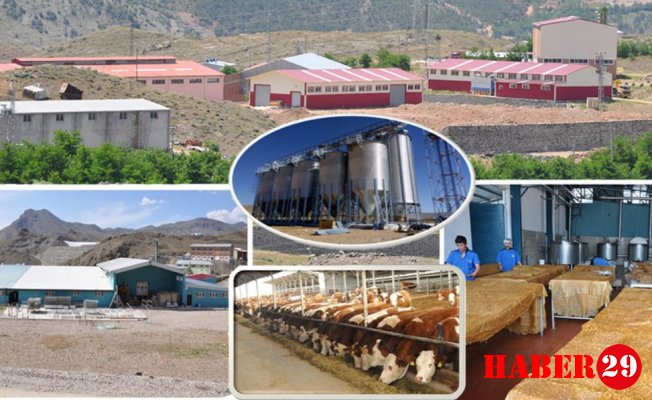 Kırsal Kalkınma Yatırımları ile Gümüşhane’ye 58 proje kazandırıldı.