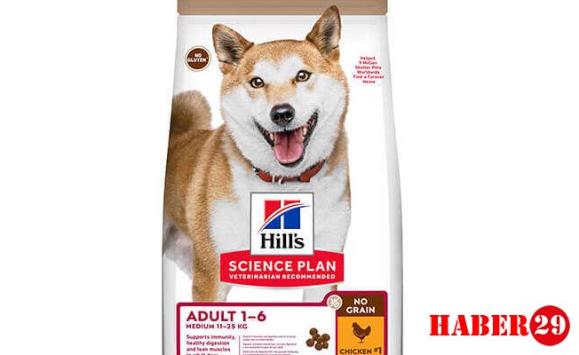 Kaliteli Köpek Maması Nereden Alınır?