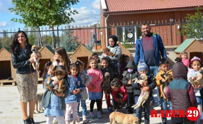 Öğrenciler'den Hayvan Barınağına Ziyaret
