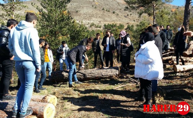 Ormancılık Bölümü Üç Ayrı Teknik Gezi Düzenledi