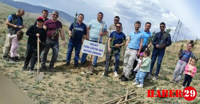 Kelkit Türk Eğitim-Sen'den Hatıra Ormanı