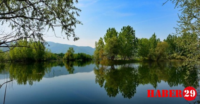 Şifalı Deniz Kumuyla Sakarya Karasu