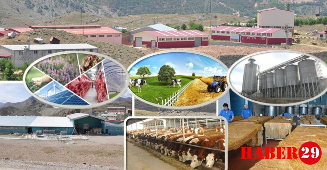 Kırsal Kalkınma Yatırımlarının Desteklenmesine Yönelik Hibe Başvuruları Başladı