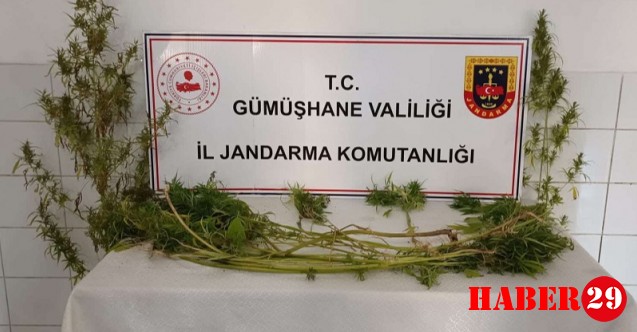 Gümüşhane'de Uyuşturucu ve Kaçakçılık Operasyonu
