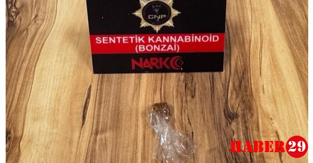 Gümüşhane’de bonzai ele geçirildi