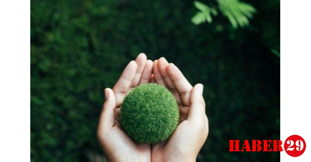 Karbon Ayak İzi Nasıl Hesaplanır? En İyi Hesaplama Aracı
