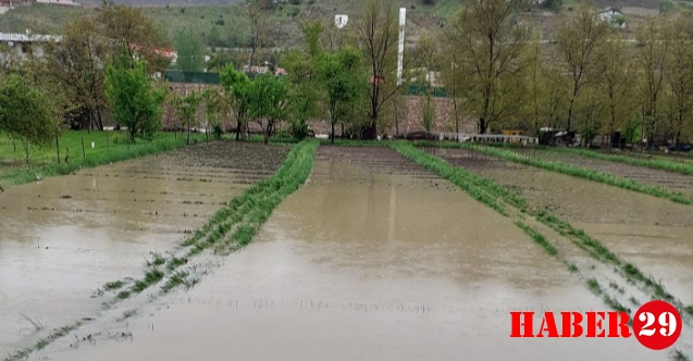 Kaya’dan ıslah tepkisi: Vatandaşın emeği hiçe sayıldı