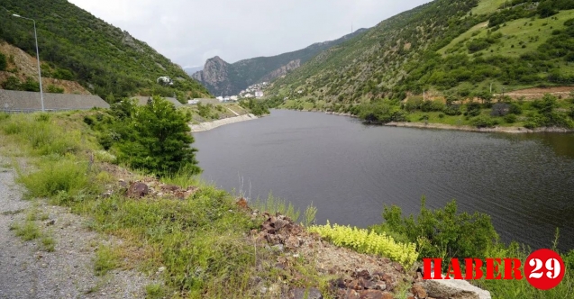 Torul Baraj Gölü'nde alg patlaması