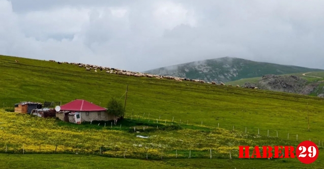 Gümüşhane'de Kar Sularının Oluşturduğu Menderesler ve Koyun Sürüleri Görsel Şölen Oluşturdu