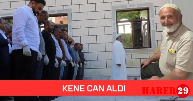 Gümüşhane’de kene can aldı: 68 yaşındaki adam hayatını kaybetti