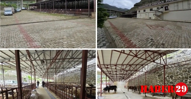 Mezbaha ve hayvan pazarında Kurban Bayramı için hazırlıkları tamamlandı