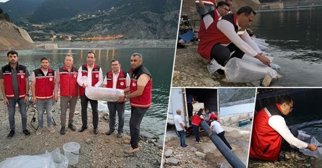Gümüşhane’de Baraj ve Göletlere 725 Bin Sazan Yavrusu Bırakıldı