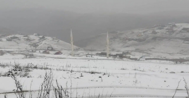 Gümüşhane'nin yüksek kesimleri beyaza büründü