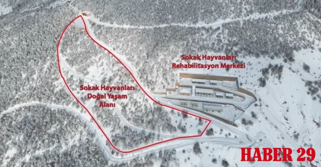 Gümüşhane Belediyesi: Barınak görüntüleri güncel değil, iddialar gerçek dışı