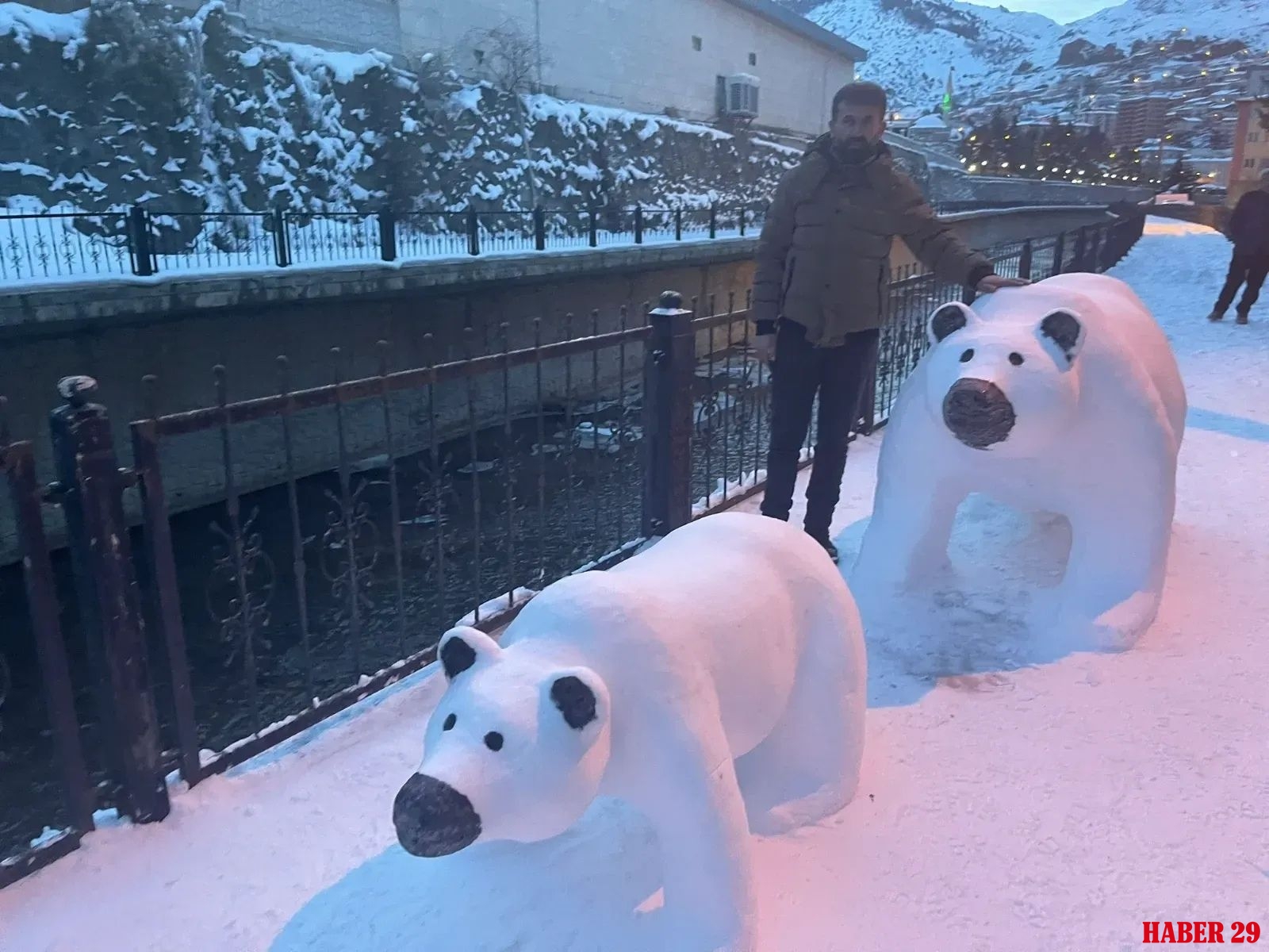 Gümüşhane'de Kutup Ayıları Merak Uyandırdı: Herkes Durup Baktı