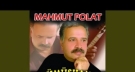 Mahmut Polat-Gümüshanalı