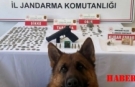 Jandarma'dan tarihi eser ve uyuşturucu operasyonu