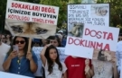 Hayvanseverlerden Gümüşhane’de Adalet ve Vicdan Çağrısı