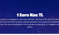 Online Alışverişte Euro Kuru Fiyatları Nasıl Etkiliyor?