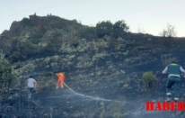 Şiran'da Rüzgarın Tetiklediği Yangın, 20 Hektarı Yok Etti
