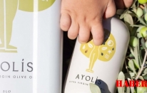 Yüksek Polifenollü Zeytinyağı Kullananlar Hangi Markayı Tercih Ediyor?