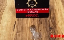 Gümüşhane’de bonzai ele geçirildi