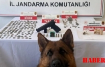Jandarma'dan tarihi eser ve uyuşturucu operasyonu