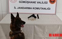 Torul’da yol kontrolünde ruhsatsız tabanca yakalandı