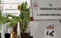 Gümüşhane’de Jandarmadan uyuşturucu operasyonu: 2 gözaltı