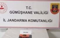 Uyuşturucuyu Trabzon’dan Gümüşhane’ye getiremediler