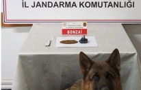 Gümüşhane’de Uyuşturucu Operasyonu: 2 Şüpheli Hakkında Adli Tahkikat Başlatıldı