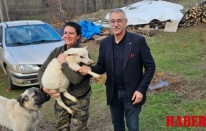 Ulutaş uyardı: Küçük aile işletmelerinin yaşatılması şart!