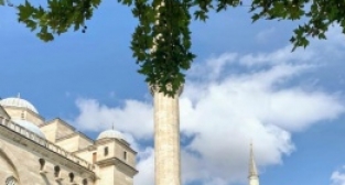 GİYAD’dan, GÜDEF’e Ziyaret