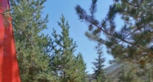 Mustafa Canlı Unutulmadı