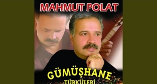 Mahmut Polat-Gümüşhane Diki