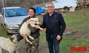 Çiftçinin Kurtuluş Reçetesi: Modern Kooperatifçilik