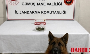 Gümüşhane Jandarmasından Zehir Tacirlerine Geçit Yok: Yol Kontrolünde Yakalandı!