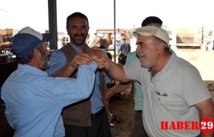 Kelkit Hayvan Pazarı Açıldı