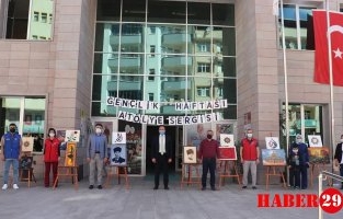 Gümüşhane Gençlik Merkezi Faaliyetlerine Tüm Hızıyla Devam Ediyor