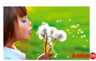 Dünya Alerji Haftası Basın Bildirisi