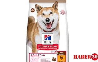 Kaliteli Köpek Maması Nereden Alınır?