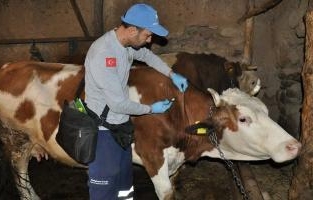 2021 yılında 221 bin 549 hayvana aşılama yapıldı.