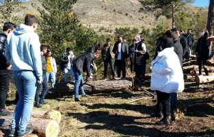 Ormancılık Bölümü Üç Ayrı Teknik Gezi Düzenledi