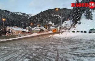 Sokak Hayvanlarına Şefkat Eli