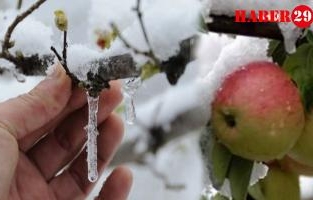 Tarsim Tarafından 2022’de Teminat Altına Alınacak Riskler Belirlendi