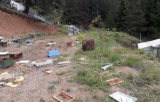 Ayılar toprağı kazıp girdiği alandaki kovanları parçaladı